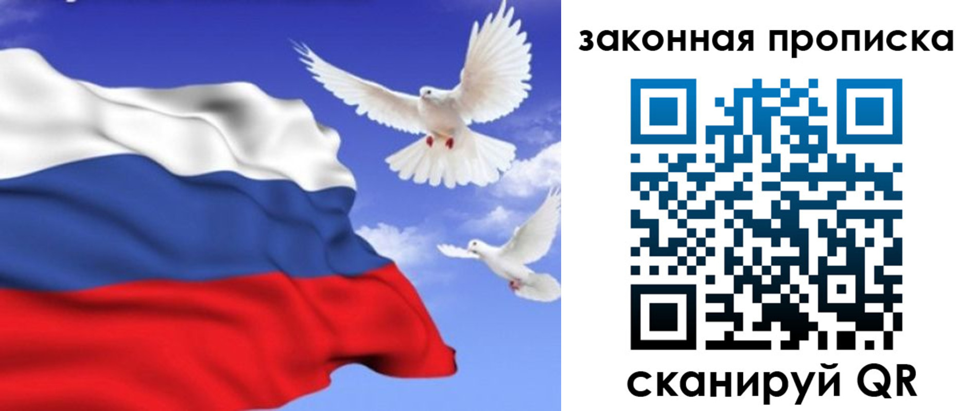 регистрация в Козьмодемьянске
